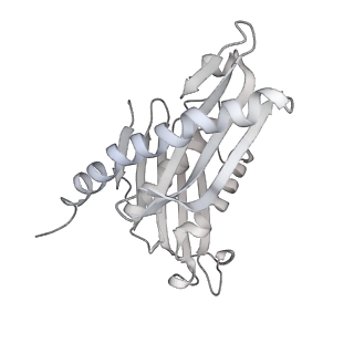 11807_7ajt_EE_v1-1
Cryo-EM structure of the 90S-exosome super-complex (state Pre-A1-exosome)