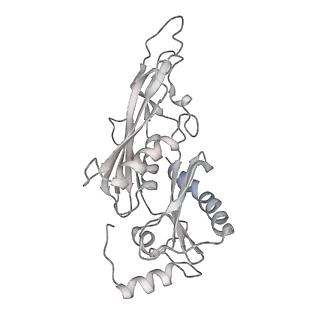 11807_7ajt_EF_v1-1
Cryo-EM structure of the 90S-exosome super-complex (state Pre-A1-exosome)