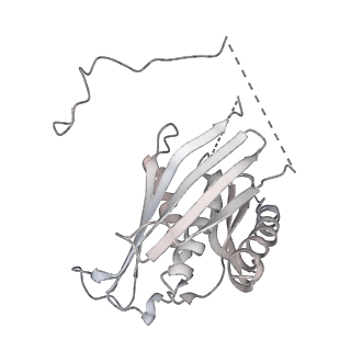 11807_7ajt_EG_v1-1
Cryo-EM structure of the 90S-exosome super-complex (state Pre-A1-exosome)