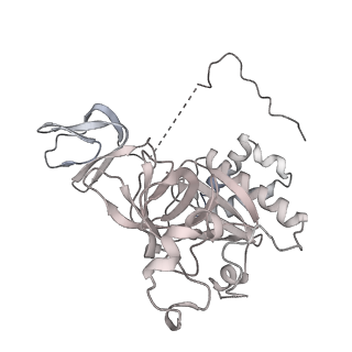 11807_7ajt_EI_v1-1
Cryo-EM structure of the 90S-exosome super-complex (state Pre-A1-exosome)
