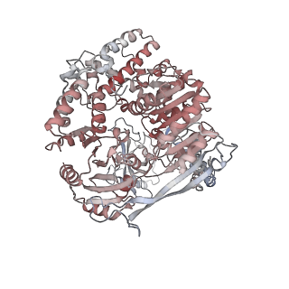 11807_7ajt_EN_v1-1
Cryo-EM structure of the 90S-exosome super-complex (state Pre-A1-exosome)
