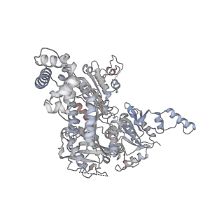 11807_7ajt_JA_v1-1
Cryo-EM structure of the 90S-exosome super-complex (state Pre-A1-exosome)