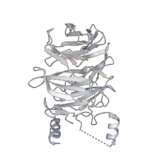 11807_7ajt_JC_v1-1
Cryo-EM structure of the 90S-exosome super-complex (state Pre-A1-exosome)