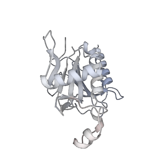 11807_7ajt_JF_v1-1
Cryo-EM structure of the 90S-exosome super-complex (state Pre-A1-exosome)