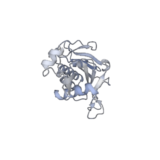 11807_7ajt_JG_v1-1
Cryo-EM structure of the 90S-exosome super-complex (state Pre-A1-exosome)