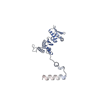 11807_7ajt_JO_v1-1
Cryo-EM structure of the 90S-exosome super-complex (state Pre-A1-exosome)