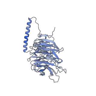 11807_7ajt_JP_v1-1
Cryo-EM structure of the 90S-exosome super-complex (state Pre-A1-exosome)