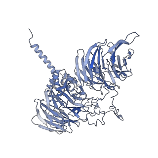 11807_7ajt_UA_v1-1
Cryo-EM structure of the 90S-exosome super-complex (state Pre-A1-exosome)
