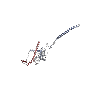 11807_7ajt_UB_v1-1
Cryo-EM structure of the 90S-exosome super-complex (state Pre-A1-exosome)