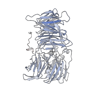 11807_7ajt_UD_v1-1
Cryo-EM structure of the 90S-exosome super-complex (state Pre-A1-exosome)