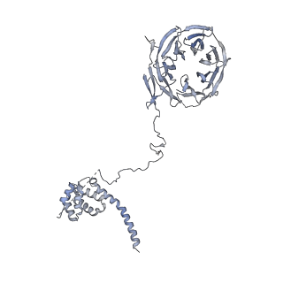 11807_7ajt_UE_v1-1
Cryo-EM structure of the 90S-exosome super-complex (state Pre-A1-exosome)