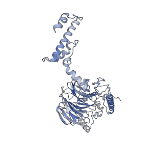 11807_7ajt_UG_v1-1
Cryo-EM structure of the 90S-exosome super-complex (state Pre-A1-exosome)