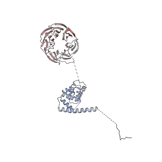 11807_7ajt_UH_v1-1
Cryo-EM structure of the 90S-exosome super-complex (state Pre-A1-exosome)