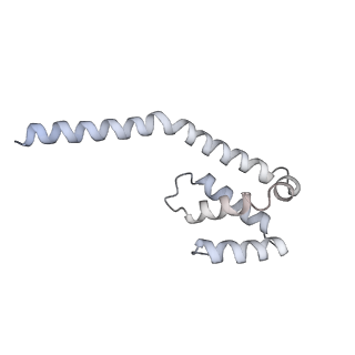 11807_7ajt_UI_v1-1
Cryo-EM structure of the 90S-exosome super-complex (state Pre-A1-exosome)