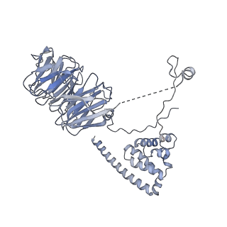 11807_7ajt_UO_v1-1
Cryo-EM structure of the 90S-exosome super-complex (state Pre-A1-exosome)