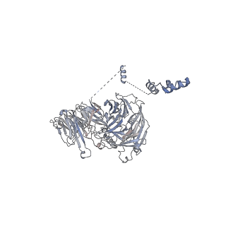 11807_7ajt_UQ_v1-1
Cryo-EM structure of the 90S-exosome super-complex (state Pre-A1-exosome)