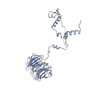 11807_7ajt_UR_v1-1
Cryo-EM structure of the 90S-exosome super-complex (state Pre-A1-exosome)