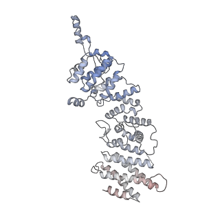 11807_7ajt_US_v1-1
Cryo-EM structure of the 90S-exosome super-complex (state Pre-A1-exosome)