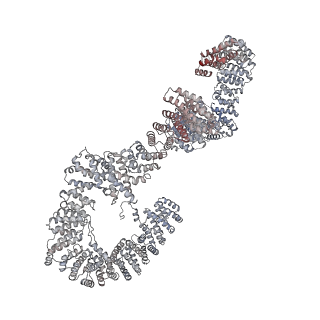 11807_7ajt_UT_v1-1
Cryo-EM structure of the 90S-exosome super-complex (state Pre-A1-exosome)