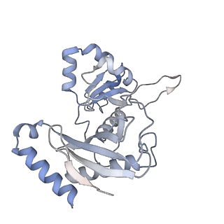 11807_7ajt_UZ_v1-1
Cryo-EM structure of the 90S-exosome super-complex (state Pre-A1-exosome)