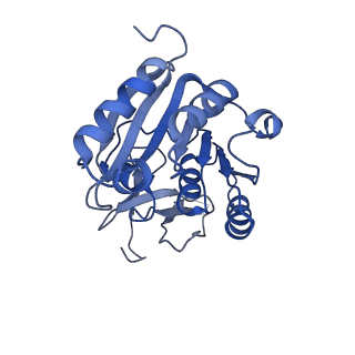 11808_7aju_CA_v1-1
Cryo-EM structure of the 90S-exosome super-complex (state Post-A1-exosome)