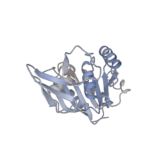 11808_7aju_CB_v1-1
Cryo-EM structure of the 90S-exosome super-complex (state Post-A1-exosome)