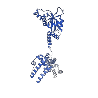 11808_7aju_CD_v1-1
Cryo-EM structure of the 90S-exosome super-complex (state Post-A1-exosome)