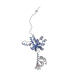 11808_7aju_CE_v1-1
Cryo-EM structure of the 90S-exosome super-complex (state Post-A1-exosome)