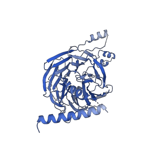 11808_7aju_CH_v1-1
Cryo-EM structure of the 90S-exosome super-complex (state Post-A1-exosome)