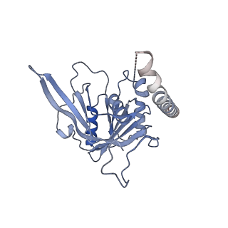 11808_7aju_CJ_v1-1
Cryo-EM structure of the 90S-exosome super-complex (state Post-A1-exosome)