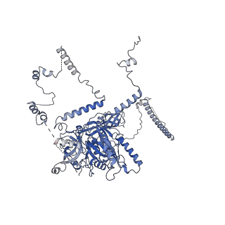 11808_7aju_CL_v1-1
Cryo-EM structure of the 90S-exosome super-complex (state Post-A1-exosome)