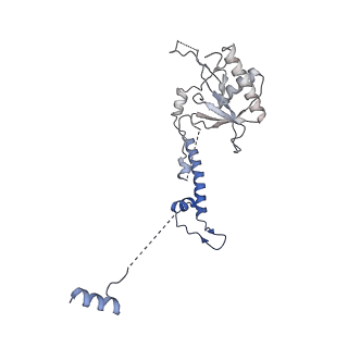 11808_7aju_CN_v1-1
Cryo-EM structure of the 90S-exosome super-complex (state Post-A1-exosome)