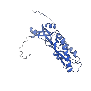 11808_7aju_DA_v1-1
Cryo-EM structure of the 90S-exosome super-complex (state Post-A1-exosome)