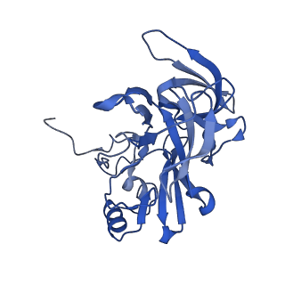11808_7aju_DE_v1-1
Cryo-EM structure of the 90S-exosome super-complex (state Post-A1-exosome)