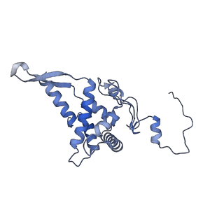 11808_7aju_DF_v1-1
Cryo-EM structure of the 90S-exosome super-complex (state Post-A1-exosome)