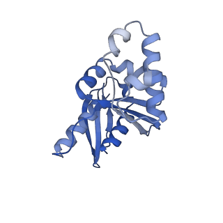 11808_7aju_DH_v1-1
Cryo-EM structure of the 90S-exosome super-complex (state Post-A1-exosome)
