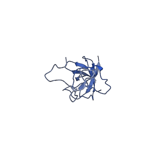 11808_7aju_DL_v1-1
Cryo-EM structure of the 90S-exosome super-complex (state Post-A1-exosome)