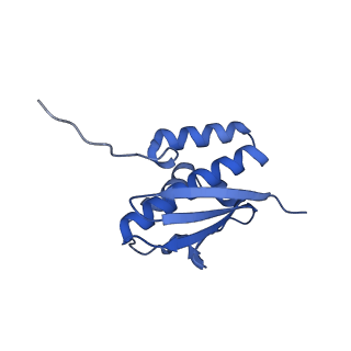 11808_7aju_DQ_v1-1
Cryo-EM structure of the 90S-exosome super-complex (state Post-A1-exosome)