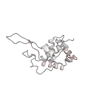 11808_7aju_DT_v1-1
Cryo-EM structure of the 90S-exosome super-complex (state Post-A1-exosome)