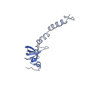 11808_7aju_DX_v1-1
Cryo-EM structure of the 90S-exosome super-complex (state Post-A1-exosome)