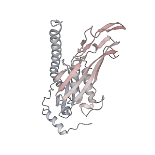 11808_7aju_EB_v1-1
Cryo-EM structure of the 90S-exosome super-complex (state Post-A1-exosome)