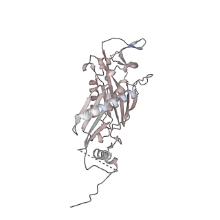11808_7aju_ED_v1-1
Cryo-EM structure of the 90S-exosome super-complex (state Post-A1-exosome)