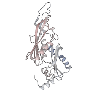 11808_7aju_EF_v1-1
Cryo-EM structure of the 90S-exosome super-complex (state Post-A1-exosome)
