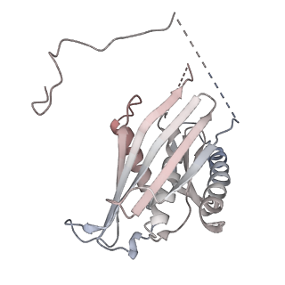 11808_7aju_EG_v1-1
Cryo-EM structure of the 90S-exosome super-complex (state Post-A1-exosome)