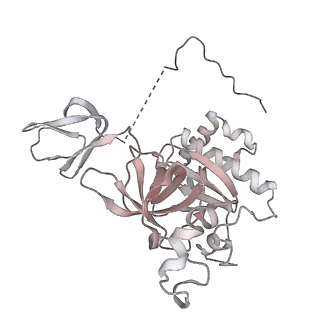 11808_7aju_EI_v1-1
Cryo-EM structure of the 90S-exosome super-complex (state Post-A1-exosome)