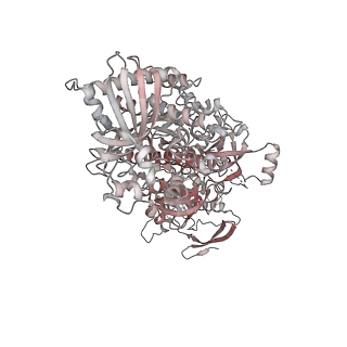 11808_7aju_EK_v1-1
Cryo-EM structure of the 90S-exosome super-complex (state Post-A1-exosome)