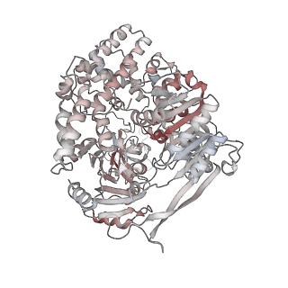 11808_7aju_EN_v1-1
Cryo-EM structure of the 90S-exosome super-complex (state Post-A1-exosome)