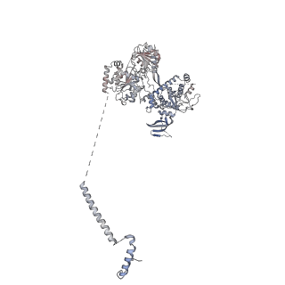 11808_7aju_JD_v1-1
Cryo-EM structure of the 90S-exosome super-complex (state Post-A1-exosome)