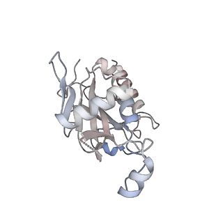 11808_7aju_JF_v1-1
Cryo-EM structure of the 90S-exosome super-complex (state Post-A1-exosome)
