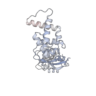 11808_7aju_JL_v1-1
Cryo-EM structure of the 90S-exosome super-complex (state Post-A1-exosome)